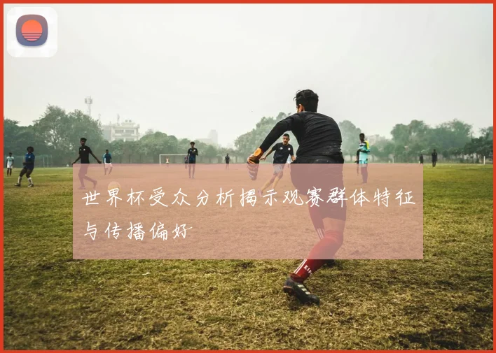 世界杯受众分析揭示观赛群体特征与传播偏好