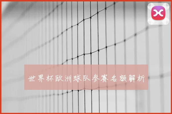 世界杯欧洲球队参赛名额解析